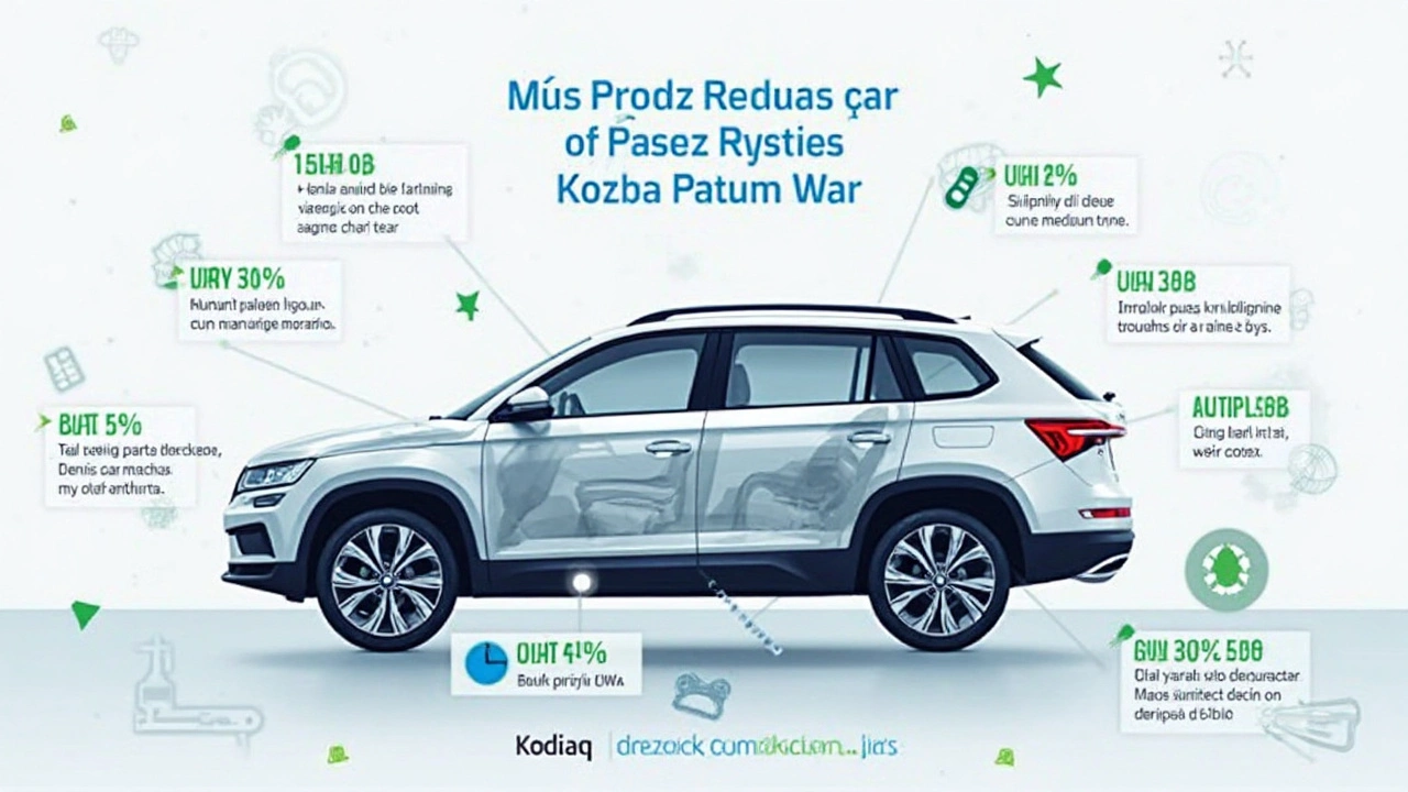 S čím počítat po letech: Provozní náklady a časté závady
